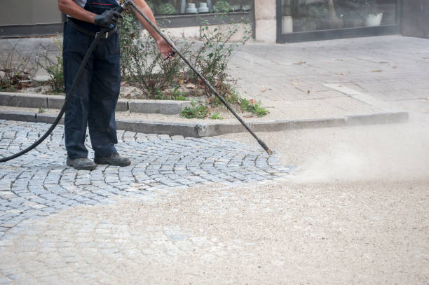 Best Sidewalk and Walkway Cleaning  in Aurora, SD